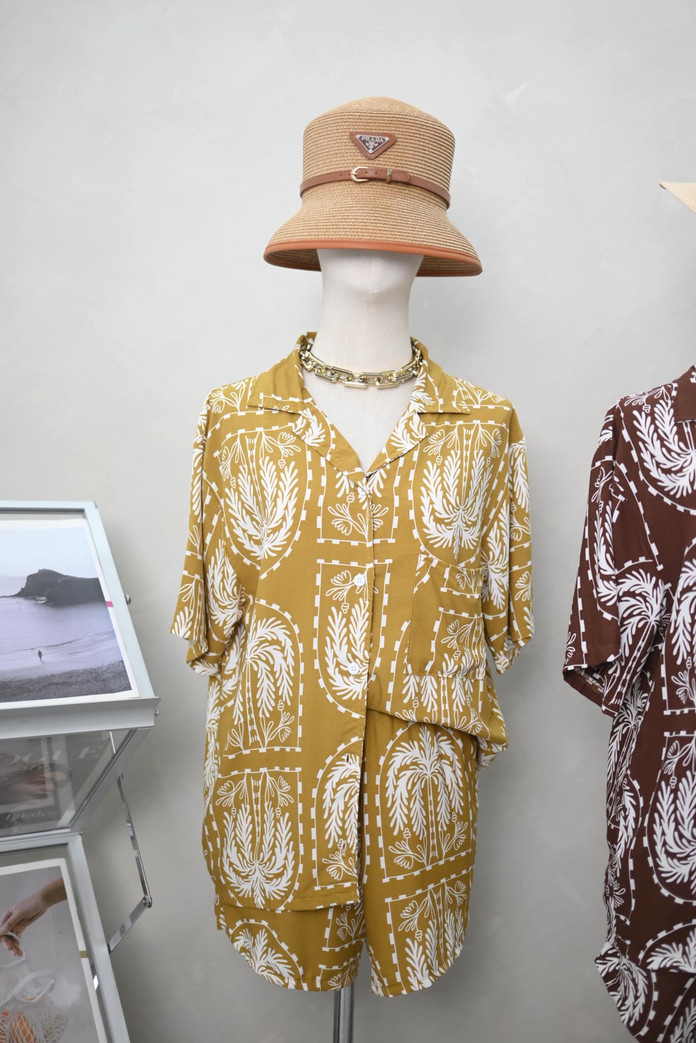 Alisson Palm Tree Coordinates